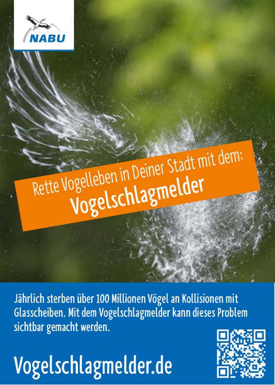 Vorderseite des Flyers mit dem Aufruf „Rette Vogelleben in Deiner Stadt mit dem Vogelschlagmelder“