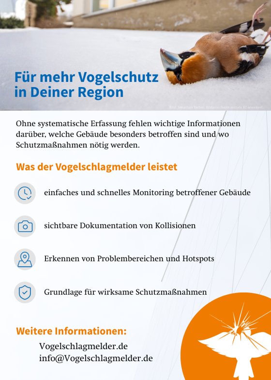 Rückseite des Flyers mit „Für mehr Vogelschutz in Deiner Region“ und den Leistungen des Vogelschlagmelders
