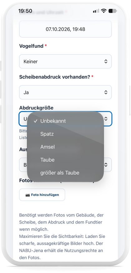 Auswahlliste der Abdruckgröße im Meldeformular auf dem Smartphone